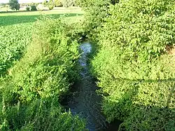 Velpe direct na Molen van Pamelen