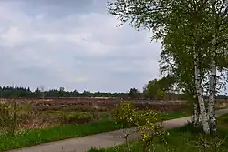 Ten oosten van Elspeet