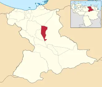Locatie van de gemeente in Anzoátegui