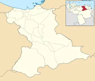 Locatie van de gemeente in Anzoátegui