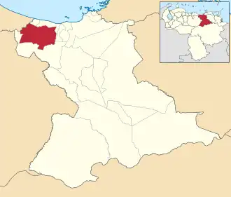 Locatie van de gemeente in Anzoátegui