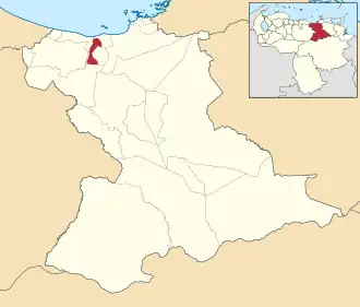 Locatie van de gemeente in Anzoátegui