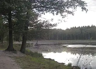 De Venkoelen, een vroegere Maasmeander