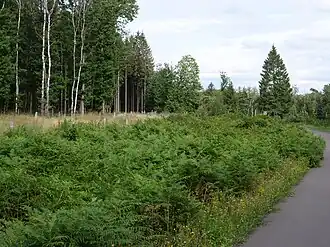 Hertogenwoud rond Raeren