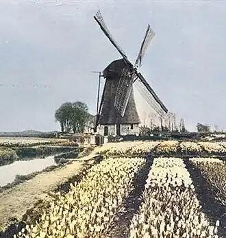 De Venniperpoldermolen rond 1900