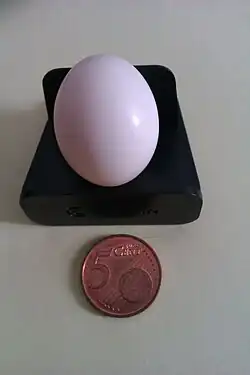 Vergelijking van de grootte van een ei met een 5 centstuk