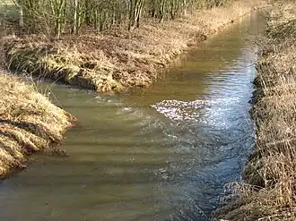 Samenvloeiing Neue Hessel en Alte Hessel