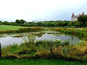 Proefvijver Rabental