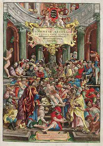 Handgekleurde houtsnede van Johan Stefan van Kalkar