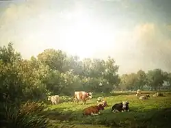 Koeien op de weilanden van 't Klooster