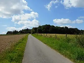 De Vetschauer Berg gezien vanuit het noorden