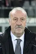 Vicente del Bosque (2008-2016)