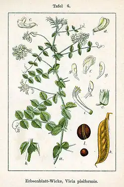 Illustratie van Jacob Sturm