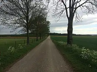 Eyserbos gezien vanaf de Eyserheide