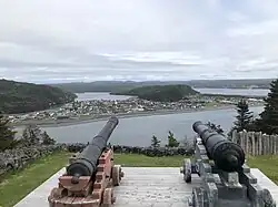 Twee kanonnen met in de achtergrond de wateren van de Placentia Road en daarachter het dorp Placentia