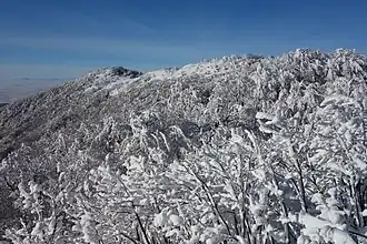 Bergrug van de Vihorlat