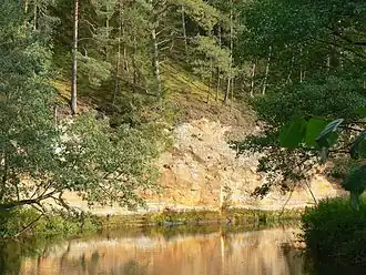 De Viira veskimüür