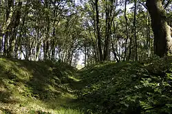 Deel van de tankgracht aan de rand van de Vijftig Bunder