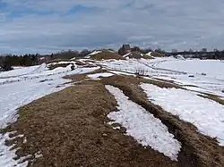 Grafheuvels van Gamla Uppsala, winter 2006