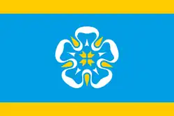 Vlag van de gemeente Viljandi vald