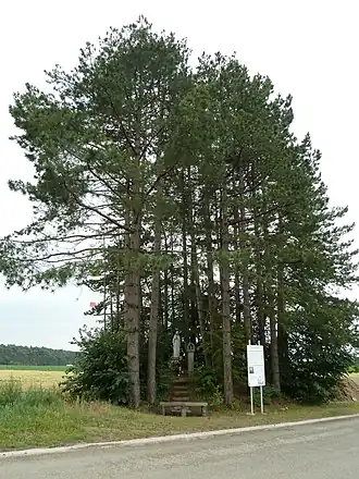 Tumulus van Oultremont