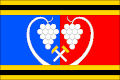 Vlag