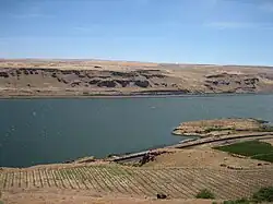 Afgelegen wijngaard. Waar maar enigszins een mogelijkheid tot het aanleggen van een wijngaard aanwezig is, zal de mens dit proberen. Voorbeeld: Columbia Gorge in de staat Washington in de Verenigde Staten.