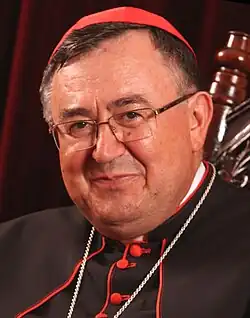 Vinko Puljić