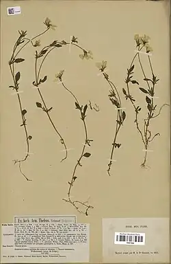 Herbarium