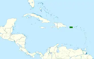 Puertoricaanse vireo