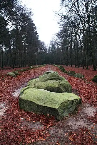 Visbeker Bräutigam 936