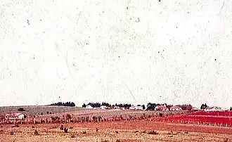 Uitzicht op de kolonie.