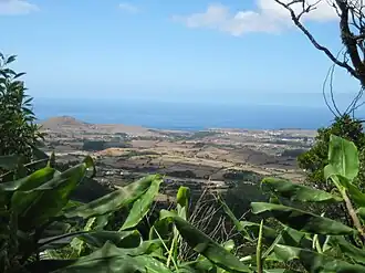 gezicht vanaf Pico Alto