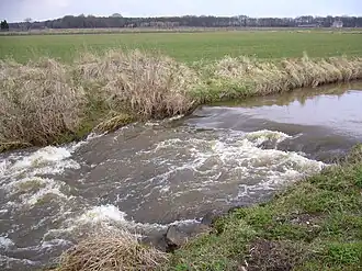 Vistrap in de Groote Molenbeek