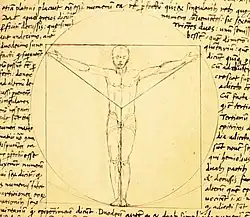 Een Vitruvian Man prototype door Giacomo Andrea, 1480er jaren