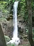 Falls