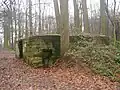 Duitse bunker Bos Ter Heide (5)