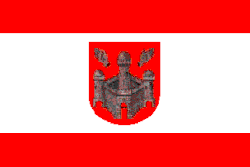 Vaak gebruikte (onofficiële) vlag van de stad Antwerpen met wapenschild