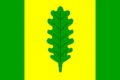 Vlag