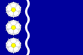 Vlag