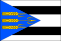 Vlag