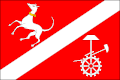 Vlag