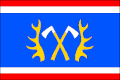 Vlag