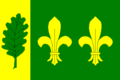 Vlag