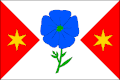 Vlag