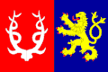 Vlag