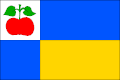 Vlag