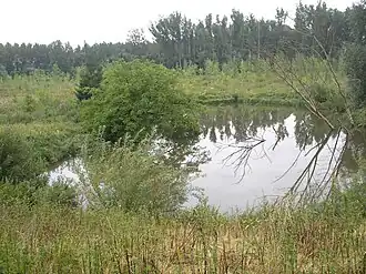 Vlassenbroekse polder