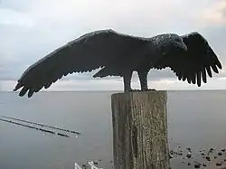 Zeearend van Peter Petersen