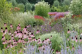 De Vlinderhof in de vroege zomer